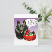 Schipperke Halloween Candy Postkarte (Stehend Vorderseite)