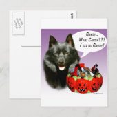 Schipperke Halloween Candy Postkarte (Vorne/Hinten)