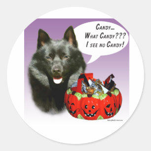 Schipperke Halloween Candy Runder Aufkleber