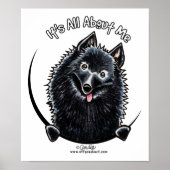 Schipperke IAAM Poster (Vorne)