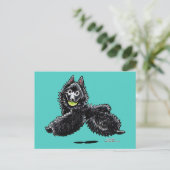 Schipperke Lasse spielen Postkarte (Stehend Vorderseite)