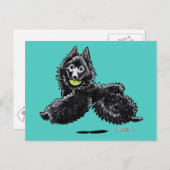 Schipperke Lasse spielen Postkarte (Vorne/Hinten)