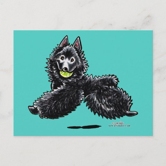 Schipperke Lasse spielen Postkarte (Vorderseite)