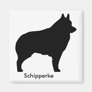 Schipperke-Magnet Magnet