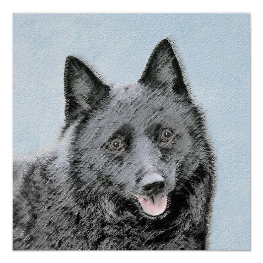 Schipperke Malerei - Niedliche Original Dog Art Poster (Vorderseite)