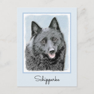Schipperke Malerei - Niedliche Original Dog Art Postkarte