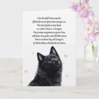 Schipperke-Mitleid Verlust Spiritualität