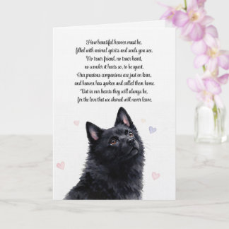 Schipperke-Mitleid Verlust Spiritualität Karte