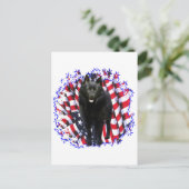Schipperke Patriot Postkarte (Stehend Vorderseite)