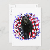 Schipperke Patriot Postkarte (Vorne/Hinten)
