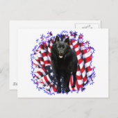 Schipperke Patriot Postkarte (Vorne/Hinten)