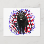 Schipperke Patriot Postkarte (Vorderseite)
