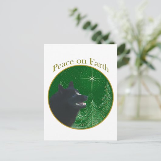 Schipperke Peace Postkarte (Stehend Vorderseite)