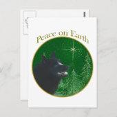 Schipperke Peace Postkarte (Vorne/Hinten)