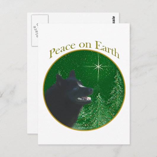Schipperke Peace Postkarte (Vorne/Hinten)