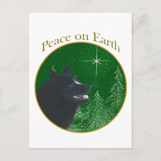 Schipperke Peace Postkarte (Vorderseite)