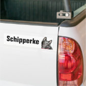 Schipperke Picture Autoaufkleber (Auf Lkw)