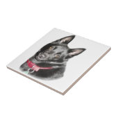 Schipperke Picture Fliese (Seite)