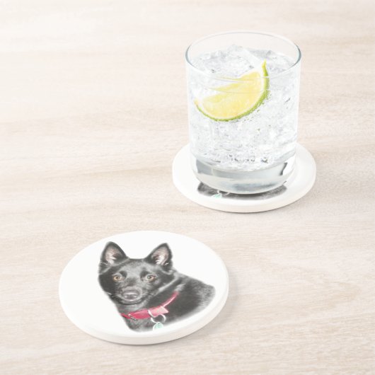 Schipperke Picture Getränkeuntersetzer (Seite)