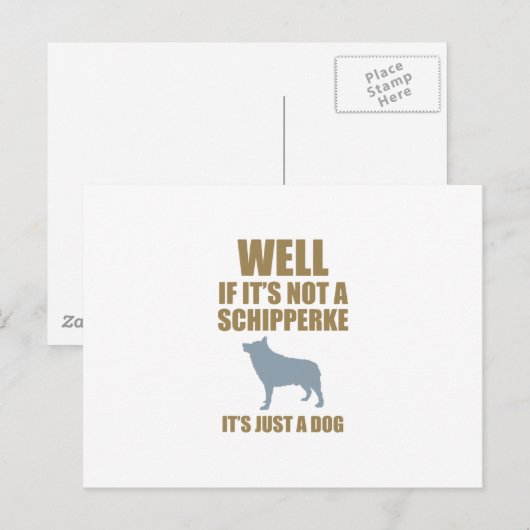 Schipperke Postkarte (Vorne/Hinten)