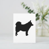 Schipperke Postkarte (Stehend Vorderseite)
