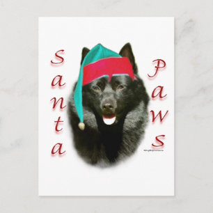 Schipperke Santa Pfoten Feiertagspostkarte