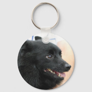 Schipperke Schlüsselanhänger