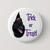 Schipperke Trick Button (Vorderseite)
