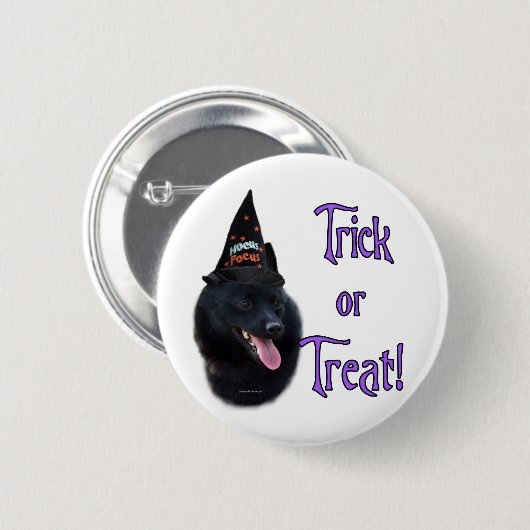 Schipperke Trick Button (Vorne & Hinten)