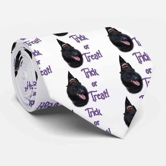 Schipperke Trick Krawatte (Gerollt)