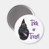 Schipperke Trick Magnet (Vorderseite/Rückseite)