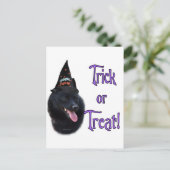 Schipperke Trick Postkarte (Stehend Vorderseite)