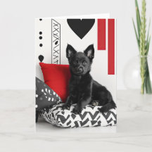 Schipperke Welppy Valentine Card