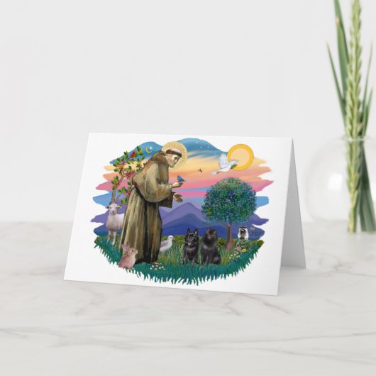 Schipperke (zwei) karte (Vorderseite)