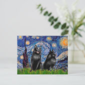 Schipperkees (zwei,5&6) - Starry Night Postkarte (Stehend Vorderseite)