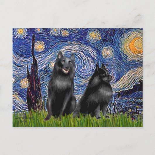 Schipperkees (zwei,5&6) - Starry Night Postkarte (Vorderseite)