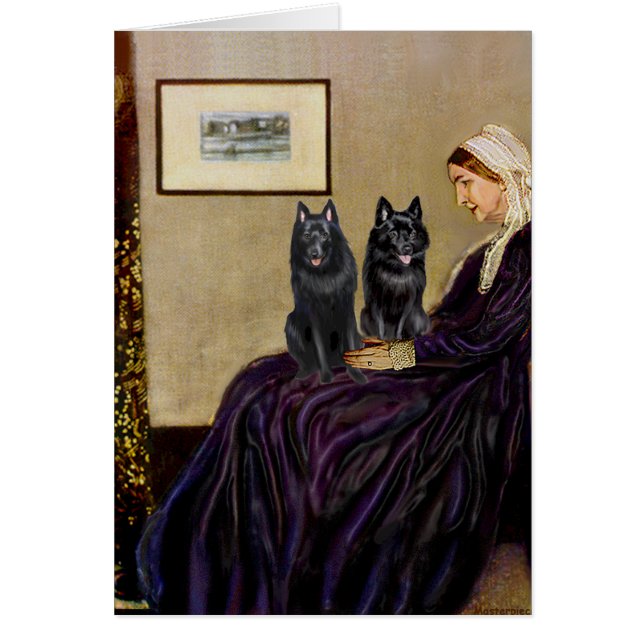 Schipperkes (zwei) - Whsitlers Mother (Vorne)