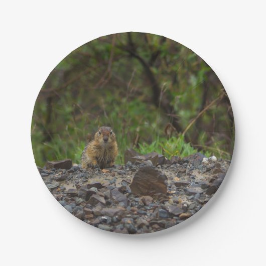 Schirm bitte pappteller (Vorderseite)