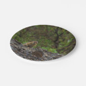 Schirm bitte pappteller (Schrägansicht)