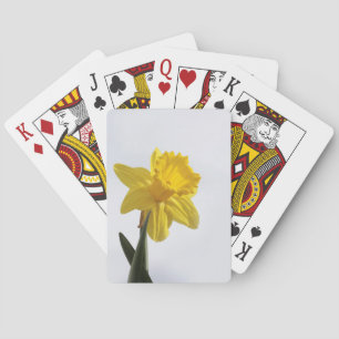 Schirmkarten Spielkarten