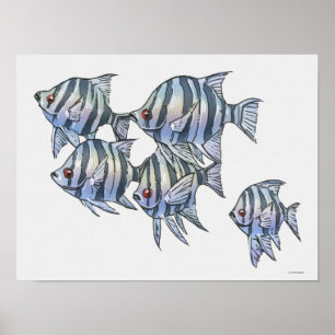 Schissortail Sergeant Poster