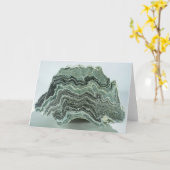 Schist Rock Karte (Gelbe Blume)