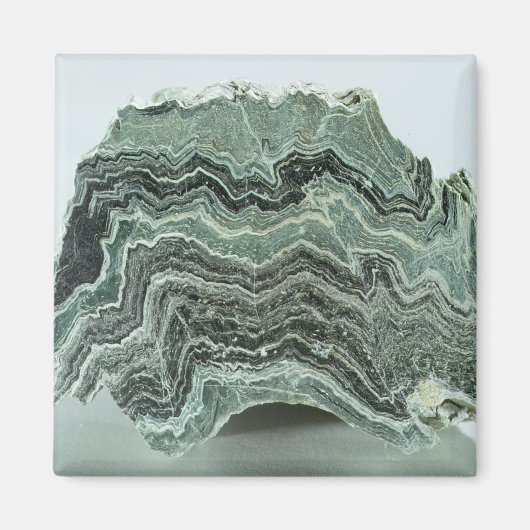 Schist Rock Magnet (Vorne)