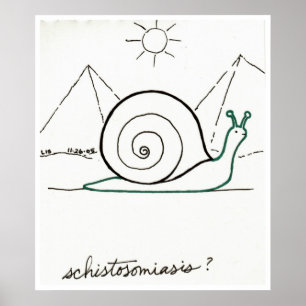 Schistosomiasisdruck Poster