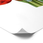 Schizostylis coccinea poster (Ecke)