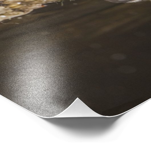 Schkunk, Mephitis mephitis Fotodruck (Ecke)