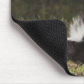 Schkunk, Mephitis mephitis Mousepad (Ecke)