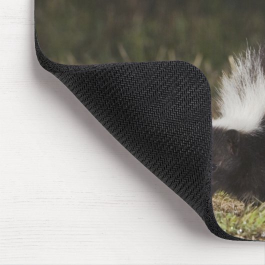 Schkunk, Mephitis mephitis Mousepad (Ecke)
