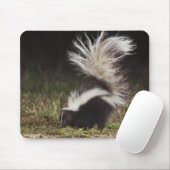 Schkunk, Mephitis mephitis Mousepad (Mit Mouse)