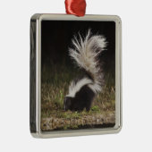 Schkunk, Mephitis mephitis Ornament Aus Metall (Rechts)